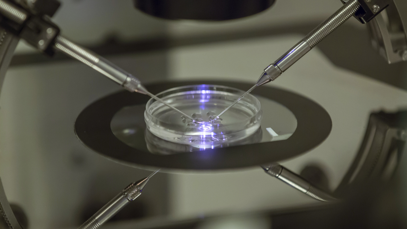 In Alabama, the court says embryos are children