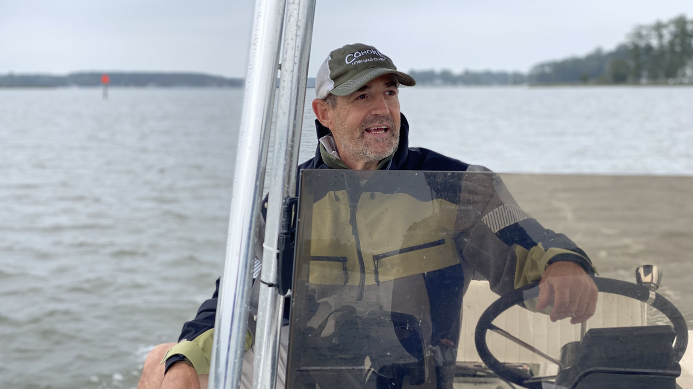 The small fish is at the center of a fight in the bay
