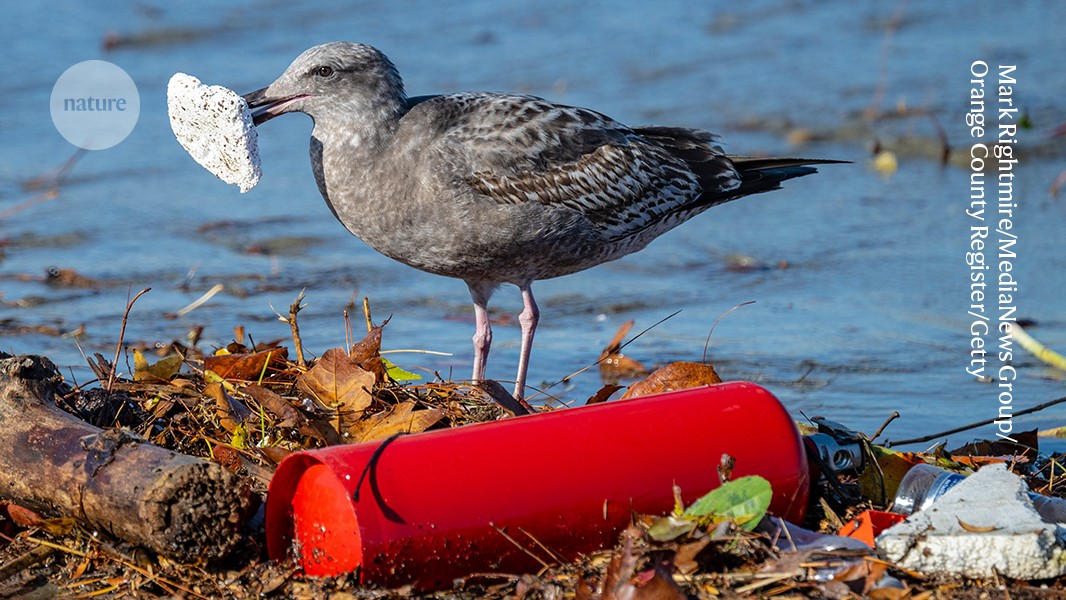 Lobbyists are not allowed to drown out researchers under the UN plastic treaty
