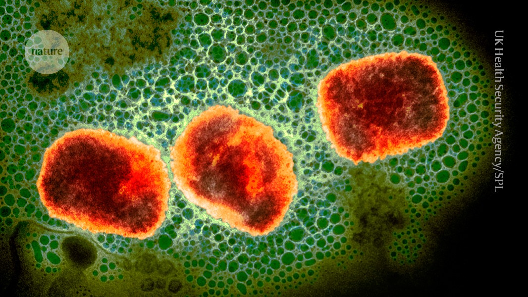 Despite its terrible outbreak of mpox, the country has no vaccines or treatments yet