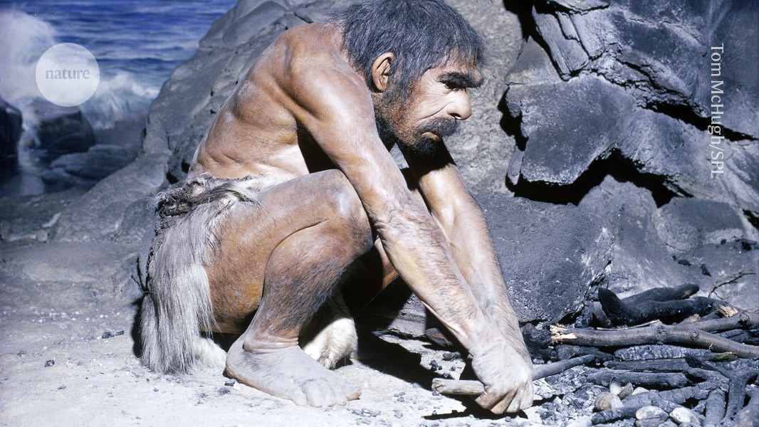 These Neanderthal fire pits are a great place to look at ancient life