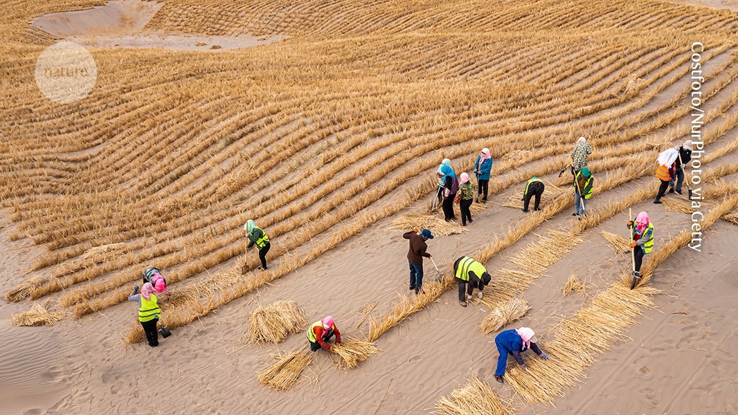 A road map for extending the sustainable development goals to 2050