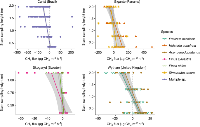 Upland tree surfaces are rich in atmospheric methane