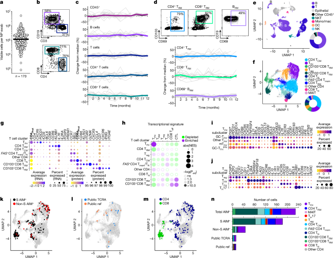 Your nose has its own army of immune cells