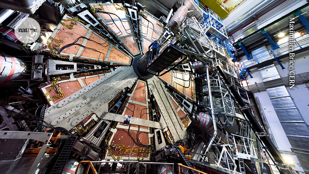physicists observe entangled quarks for the first time
