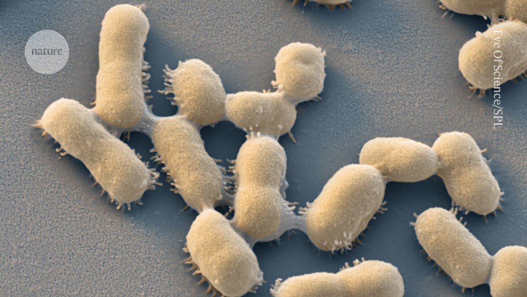 Drug- resistant infections will cause 40 million deaths by 2050