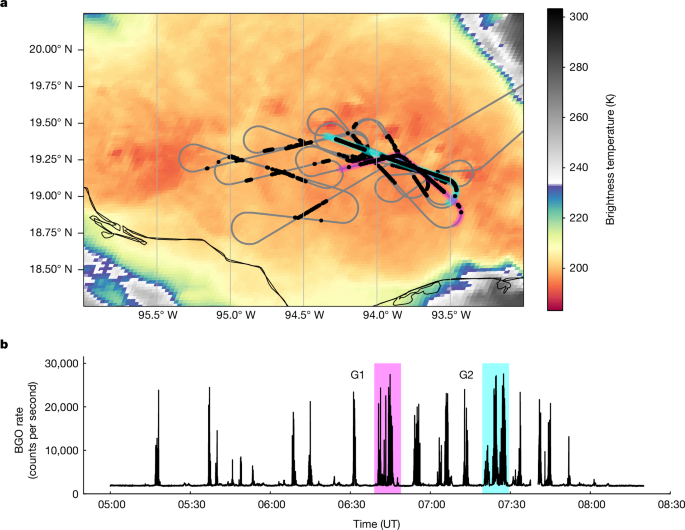 Tropical thunderclouds produce high levels of highly dynamicgamma-ray emissions