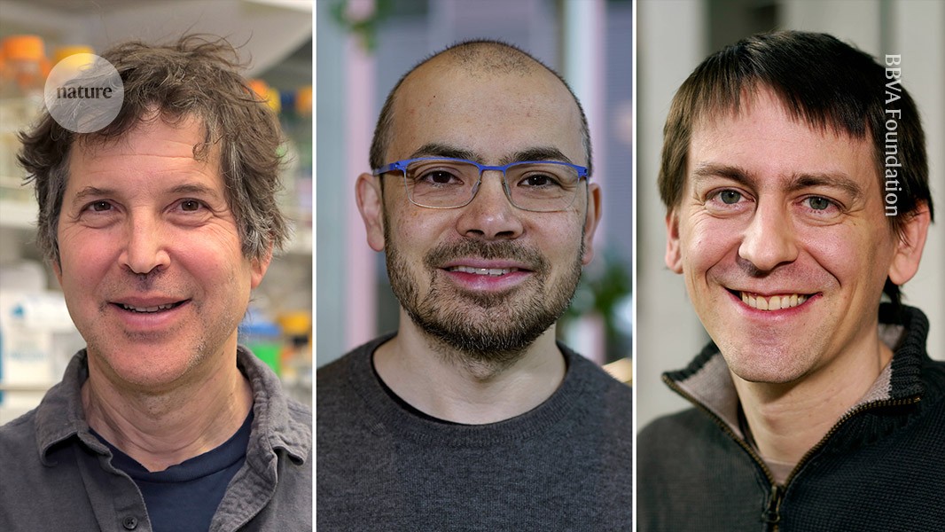 The developers of AlphaFold will get the chemistry Nobel