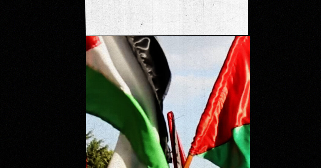 The Democrats ignored Gaza and brought down their party