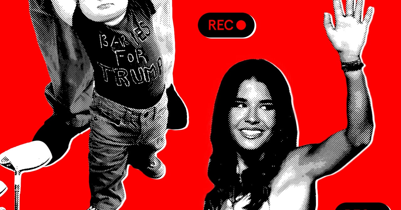 Pro-Harris TikTok was in a bubble before the election