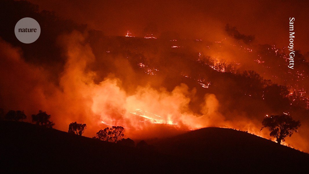 The impacts of the megafires in Australia