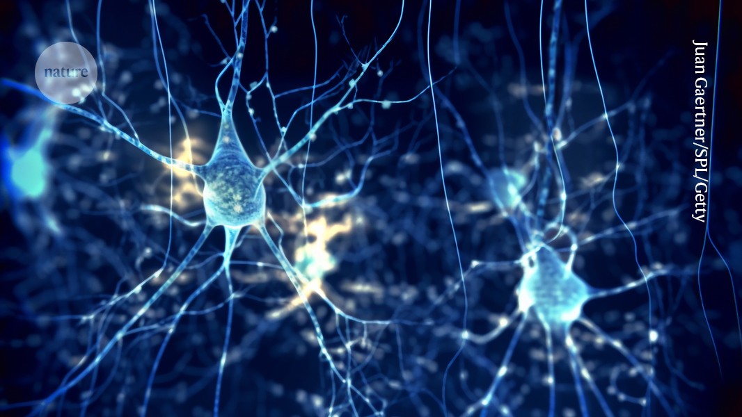 The human body has mysteries that are unlocked through cellular atlases