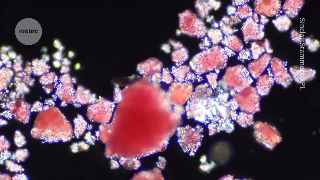 Cancer can poison the immune system by giving it faulty machinery