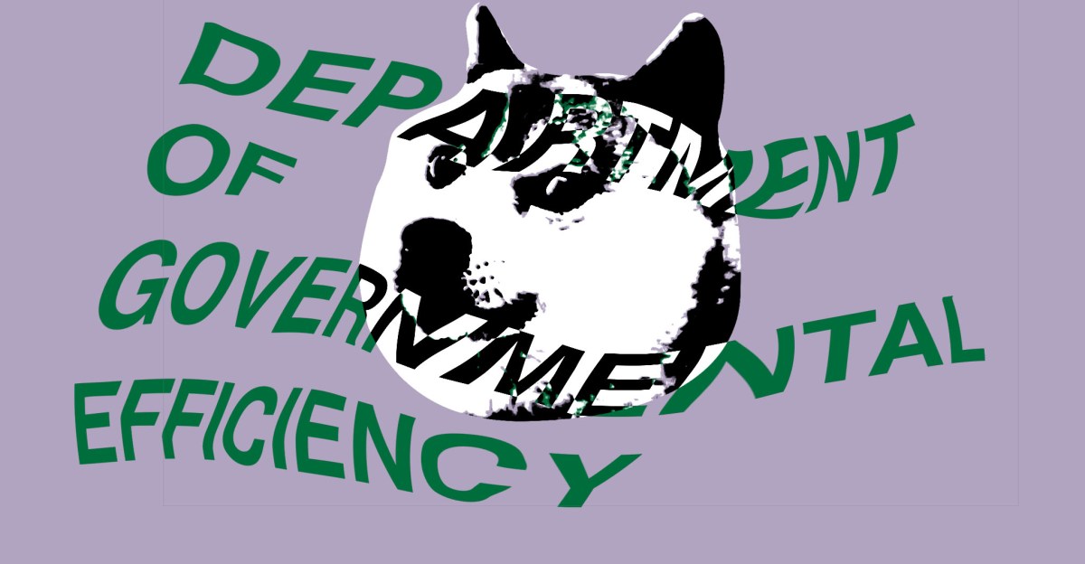 Doge can access government data according to the judge’s rules
