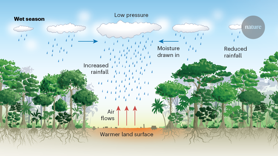 The wet season is dryer than the dry season