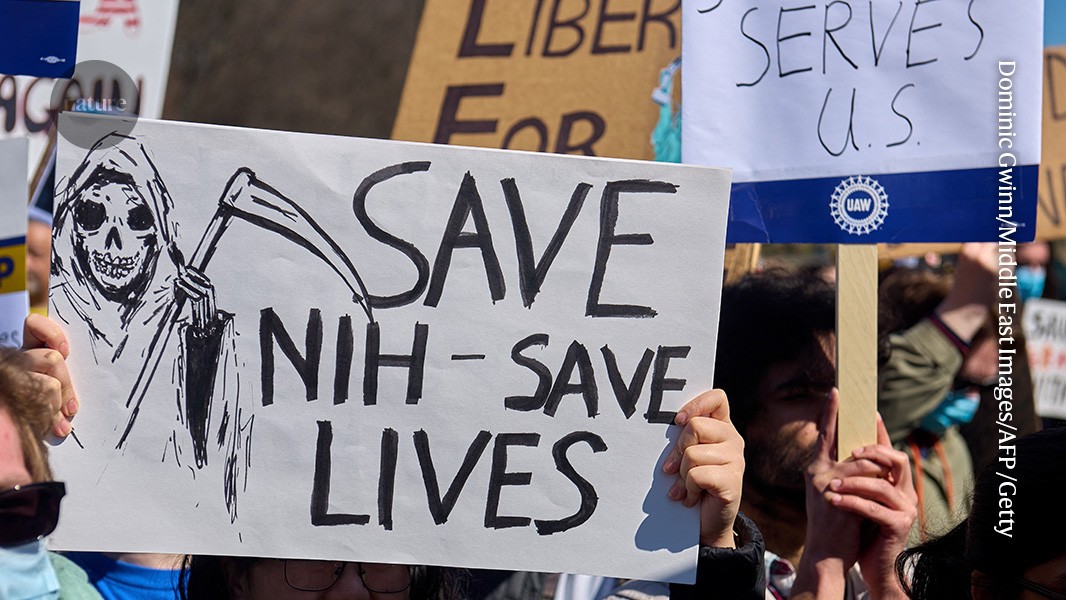 Nature’s guide to what’s next was the subject of a bunch of lawsuits