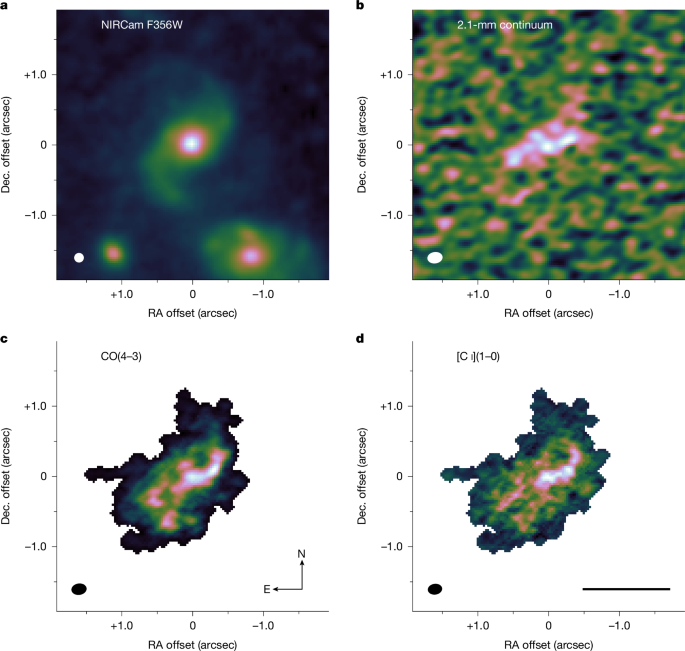 Formation models are challenged by the clustering pattern in dwarf galaxies