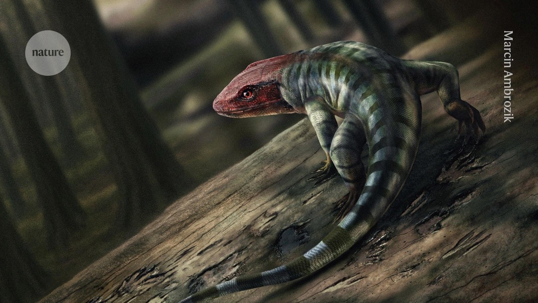 The Earliest amniote tracks the timelines oftetrapods